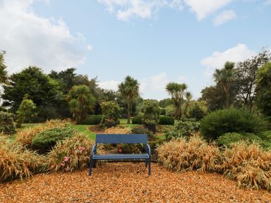 A blue bench in a garden with plants trees and gravel ground at Sutton Cottage Ballysheen near Rosslare Harbour County Wexford