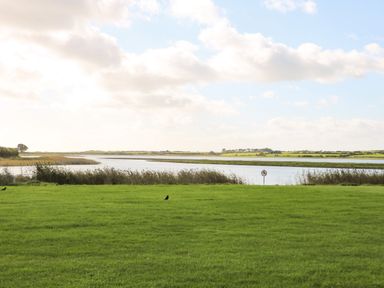 A grassy field with birds near a body of water under a cloudy sky at Sutton Cottage in Ballysheen near Rosslare Harbour County Wexford