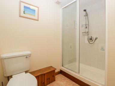 A bathroom with a toilet a wooden storage box and a shower with glass doors at Stable End in Luntley near Pembridge