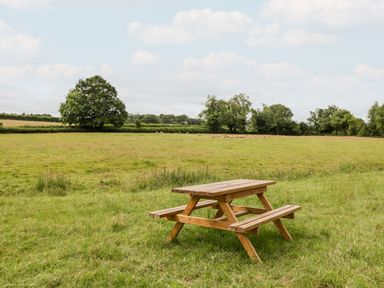 A wooden picnic table on grass with trees and sheep in a field at Stable End in Luntley near Pembridge