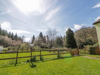 A garden with grass, trees, and a fence at Gardener's Cottage Llanwrthwl near Rhayader