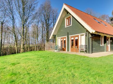 A green wooden house with a red roof next to a grassy yard and trees at Apple Tree Lodge in Swarland near Alnwick