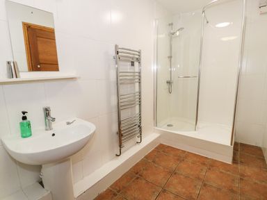 A bathroom with a sink mirror towel heater and a shower at Ddol Helyg Barn in Llanrug