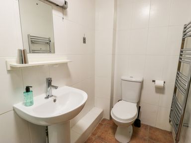 A bathroom with a pedestal sink soap dispenser and mirror opposite a toilet with a toilet brush and a heated towel rail at Ddol Helyg Barn in Llanrug