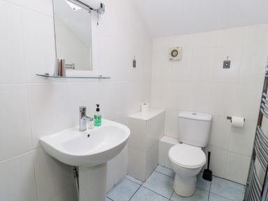 A bathroom with a sink mirror soap dispenser toilet toilet paper and a cleaning brush at Ddol Helyg Barn in Llanrug