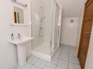 A bathroom with a shower enclosure a pedestal sink with soap a mirror and a wooden door at Ddol Helyg Barn in Llanrug