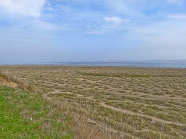 A grassy field with patches of vegetation near a body of water under a blue sky at Seascope in Kessingland near Lowestoft
