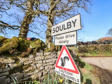 A road sign with the text Soulby and caution for red squirrels near mossy stone wall and leafless trees at Cherry Tree Cottage in Soulby near Kirkby Stephen