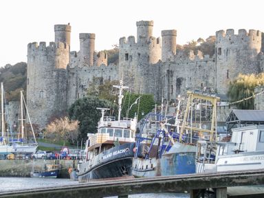 A harbor with fishing boats and a medieval castle in the background at Mountain View in Conwy