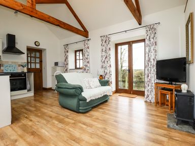 A living room with a green sofa a television wooden beams and glass doors at Brocks Barn in Sweetshouse near Lostwithiel
