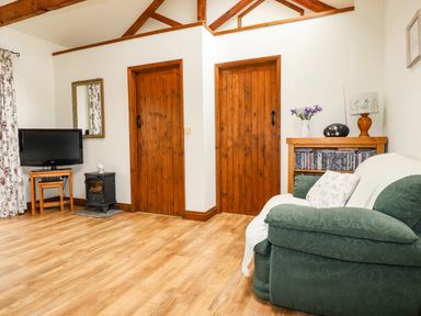 A room with green sofa wooden doors television and shelves at Brocks Barn Sweetshouse near Lostwithiel