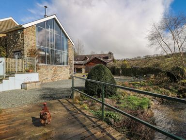 A stone house with large windows and a chicken on a wooden deck near a small stream at The Barn at Glanoer in Hundred House near Builth Wells