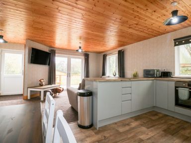 A kitchen and living area with wooden ceiling white cabinets and a wall mounted tv at Lodge One in Brighton near Summercourt