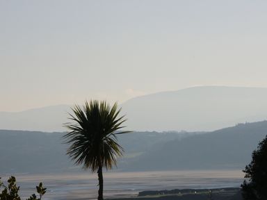 A palm tree with hills and a body of water in the background at Beach View in Benllech near Red Wharf Bay