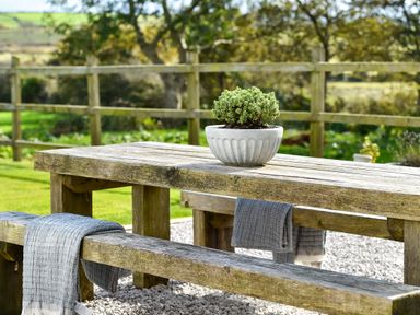 A wooden picnic table with benches and a potted plant outside with a wooden fence and greenery at Ty Carmel in Rhosneigr