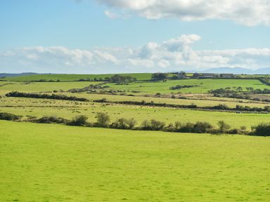 A rural landscape with green fields and scattered sheep under a partly cloudy sky at Ty Carmel in Rhosneigr