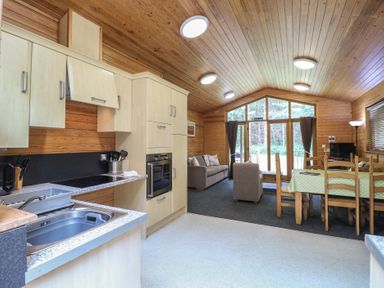 A kitchen and living area with wooden panel walls and ceiling a dining table a sofa and armchair at Birch Lodge in Rosliston