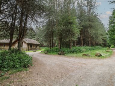 A dirt road forks into two paths surrounded by trees with a wooden cabin on the left side Birch Lodge Rosliston