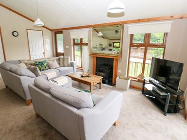 A living room with gray sofas a wooden coffee table a fireplace a large mirror a black TV on a stand and windows with roller blinds at The Beeches in Narberth