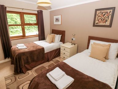A bedroom with two single beds blankets on beds bedside table lamp and window with curtains at The Beeches in Narberth
