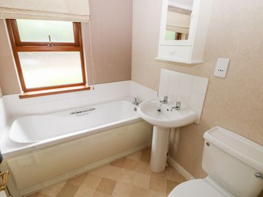 A bathroom with a bathtub under a window a pedestal sink with a mirror cabinet and a toilet at The Beeches in Narberth