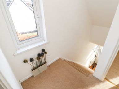 A stairwell with beige carpet a window and a rectangular vase with decorative plants at Lightkeeper House in Amble-by-the-Sea