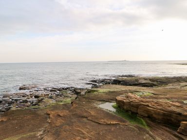 A rocky shoreline with patches of green algae and the sea in the background at Lightkeeper House in Amble-by-the-Sea