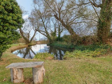 A wooden bench beside a pond with trees and grass at Bluebell Lodge in Saltburn-by-the-Sea