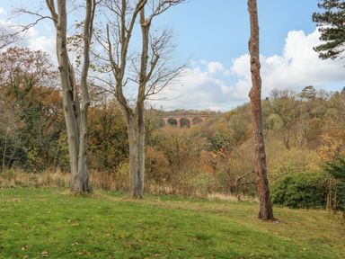 A grassy clearing with trees and a viaduct in the background at Bluebell Lodge in Saltburn-by-the-Sea