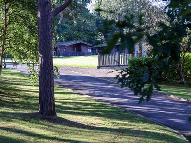 A road with cabins and trees at Bluebell Lodge Saltburn-by-the-Sea