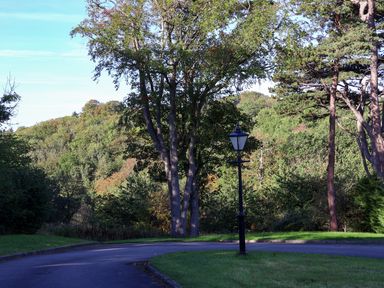 A pathway with a lamp post and large trees at Violet Lodge in Saltburn-by-the-Sea