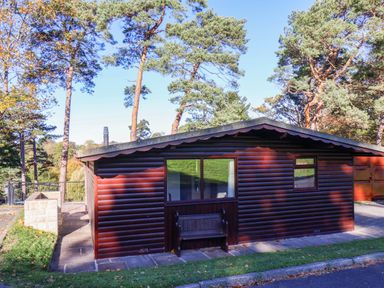 A cabin with a bench and windows at Violet Lodge in Saltburn-by-the-Sea