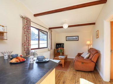 A living room with a sofa and coffee table at Violet Lodge Saltburn-by-the-Sea