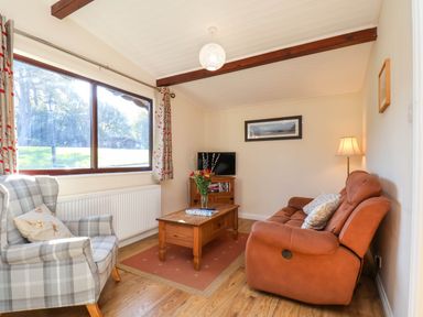 A living room with a sofa and television at Violet Lodge in Saltburn-by-the-Sea