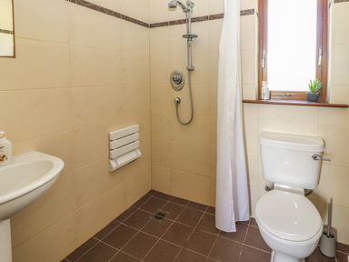 A bathroom with a shower area toilet sink and a window with a plant at Brandon Holiday Home in Cloghane County Kerry