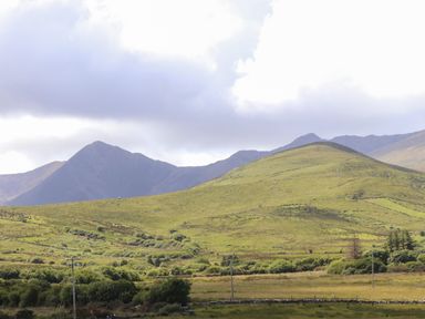 A grassy hill with scattered bushes and mountains in the background under a cloudy sky at Brandon Holiday Home in Cloghane County Kerry