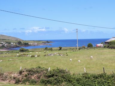 A coastal field with sheep grazing and houses near the sea at Brandon Holiday Home in Cloghane County Kerry