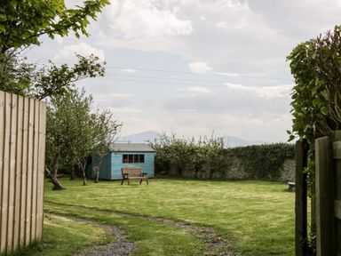A garden with a wooden blue shed a wooden bench trees and a grassy area at Ty Taid in Llanddaniel Fab near Beaumaris