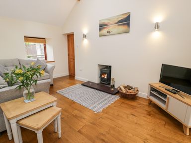 A living room with a wood burning stove a grey sofa a television on a stand and a small wooden table with flowers at Ty Taid in Llanddaniel Fab near Beaumaris