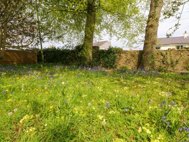A garden with trees and flowers at Ty Taid in Llanddaniel Fab near Beaumaris