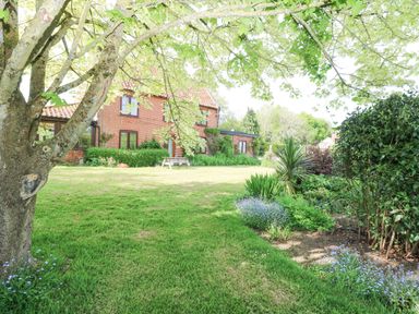 A garden with a large tree a bench and a brick house in the background at Lyons Green in Little Fransham near Swaffham