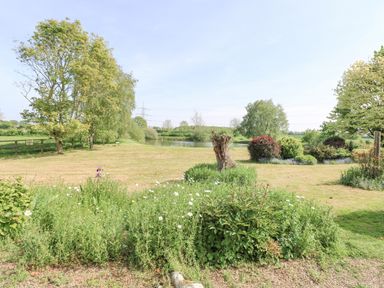 A garden with grass shrubbery flowers and trees near a pond at Lyons Green in Little Fransham near Swaffham