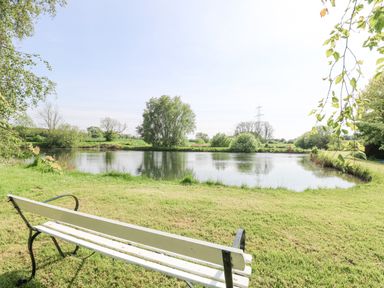 A bench facing a pond with trees and grass at Lyons Green in Little Fransham near Swaffham