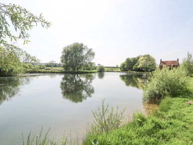 A pond with trees and grass surrounding it and a house in the distance at Lyons Green in Little Fransham near Swaffham