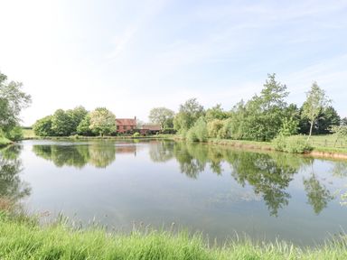 A pond surrounded by grass trees and a house in the background at Lyons Green in Little Fransham near Swaffham