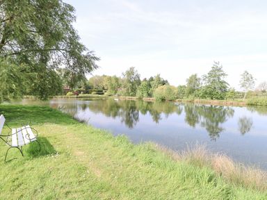 A pond with trees reflected in the water and a bench on the grass at Lyons Green in Little Fransham near Swaffham