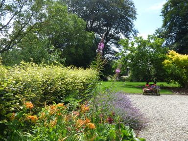 A garden with orange and purple flowers a gravel pathway a hedge and trees at Rosemount Coach House Ballycarney near Enniscorthy County Wexford