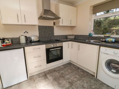 A kitchen with white cabinets black mosaic tile backsplash oven stove and washing machine at 3 Rosecraddoc Lodge Rosecraddoc Lodge near Liskeard