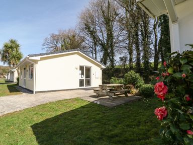 A white single-story building with a glass door next to a wooden picnic table and grass at 3 Rosecraddoc Lodge in Rosecraddoc Lodge near Liskeard