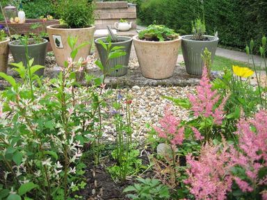 A garden with various potted plants on a stone platform and flowering plants in the soil and gravel area at Lothlorien Cottage Cwmgors near Ammanford